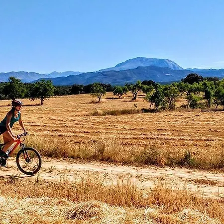 Casa rural El Rincon Perarrua
